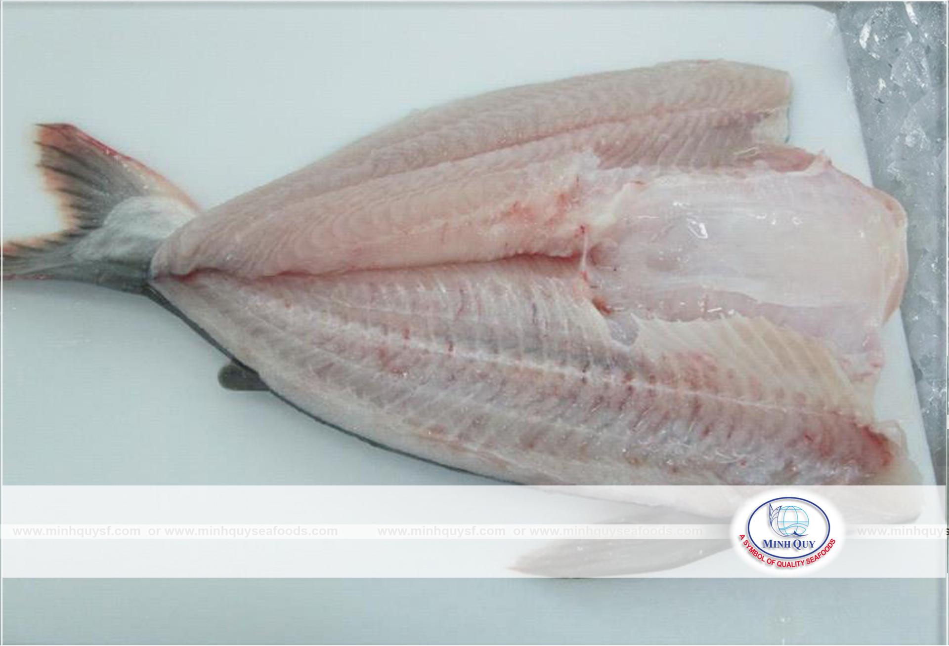 MINH QUY SEAFOODS COMPANY LIMITTED