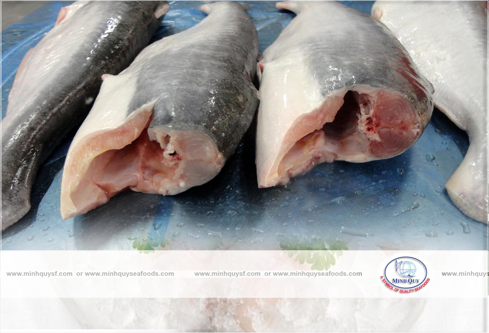 MINH QUY SEAFOODS COMPANY LIMITTED