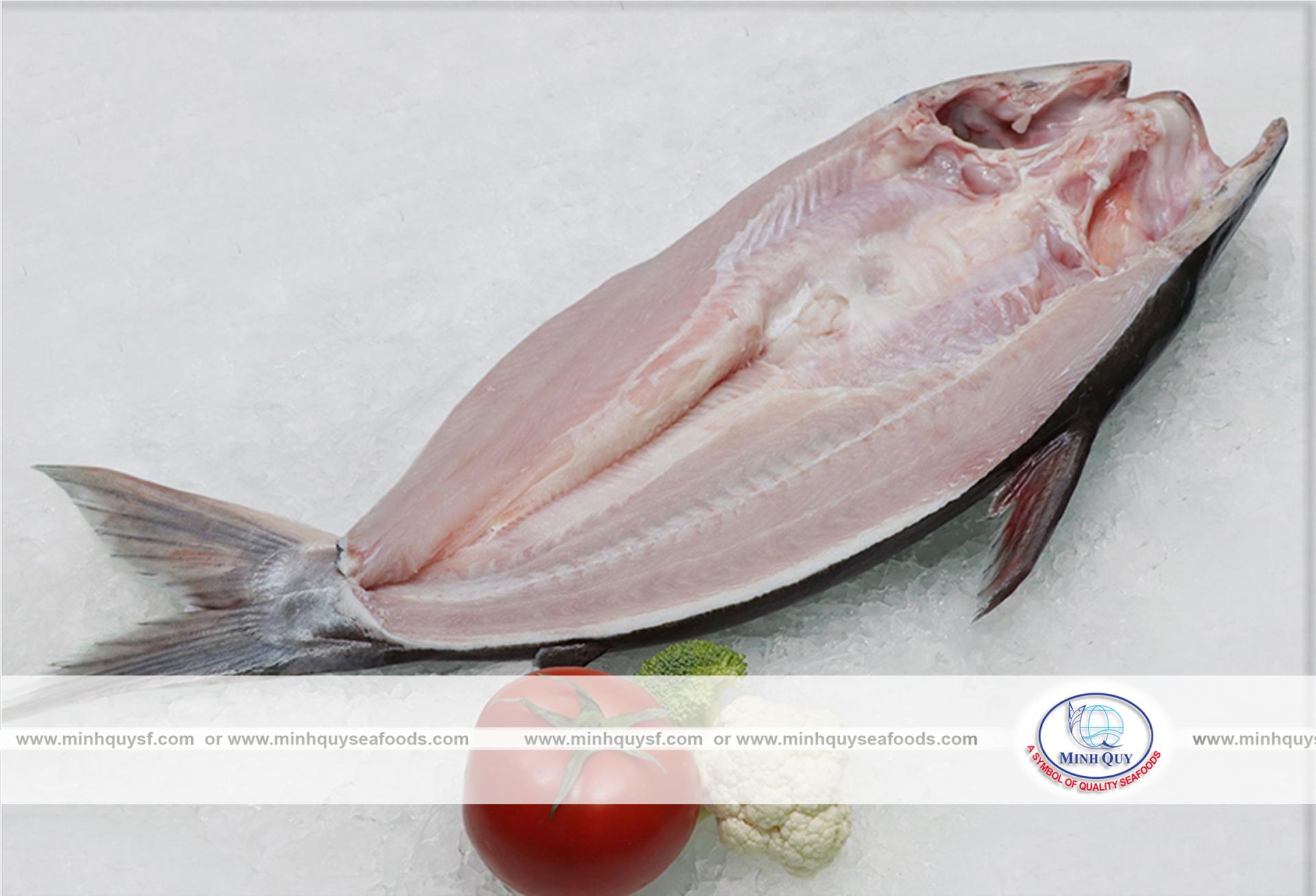 MINH QUY SEAFOODS COMPANY LIMITTED