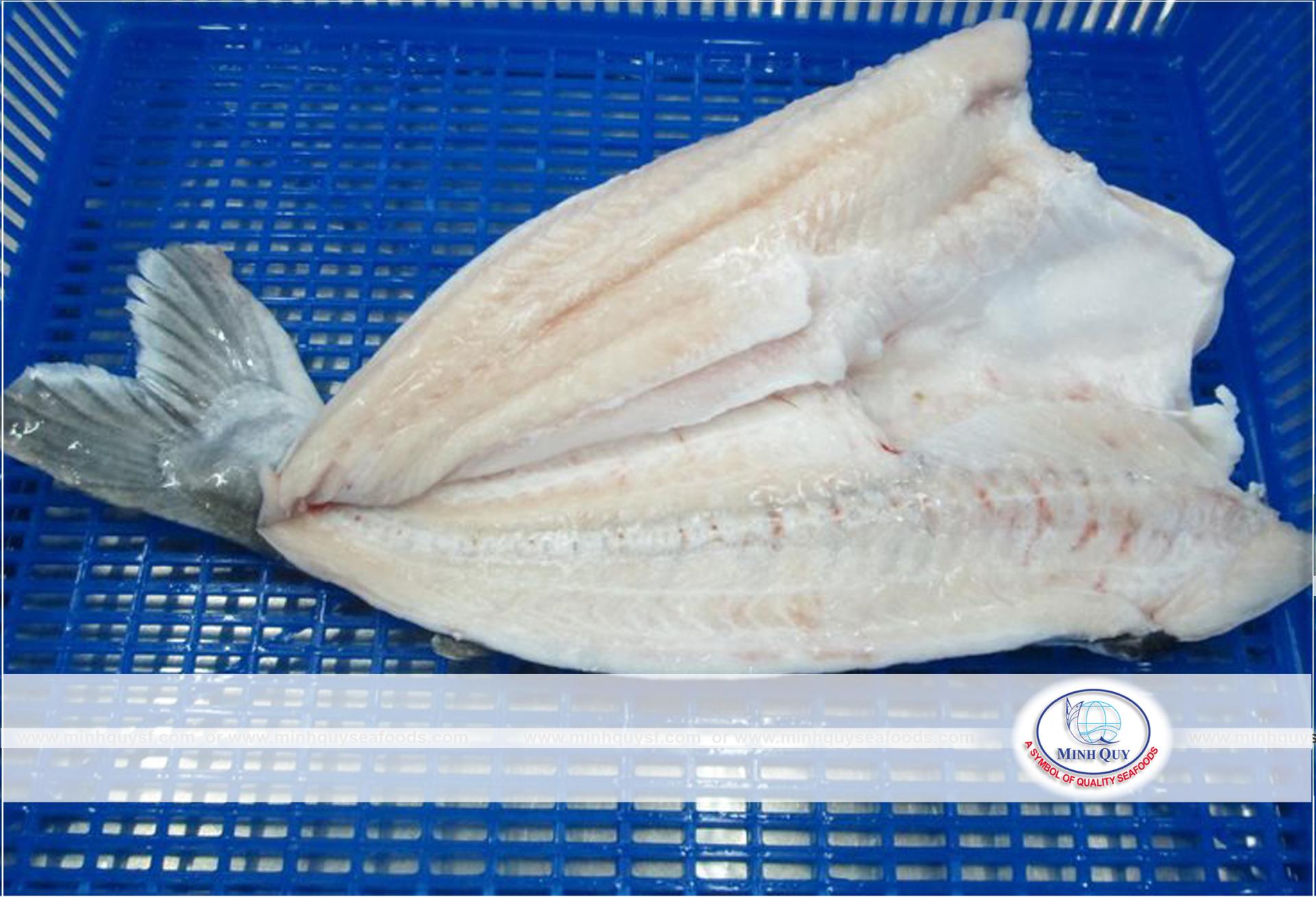 MINH QUY SEAFOODS COMPANY LIMITTED