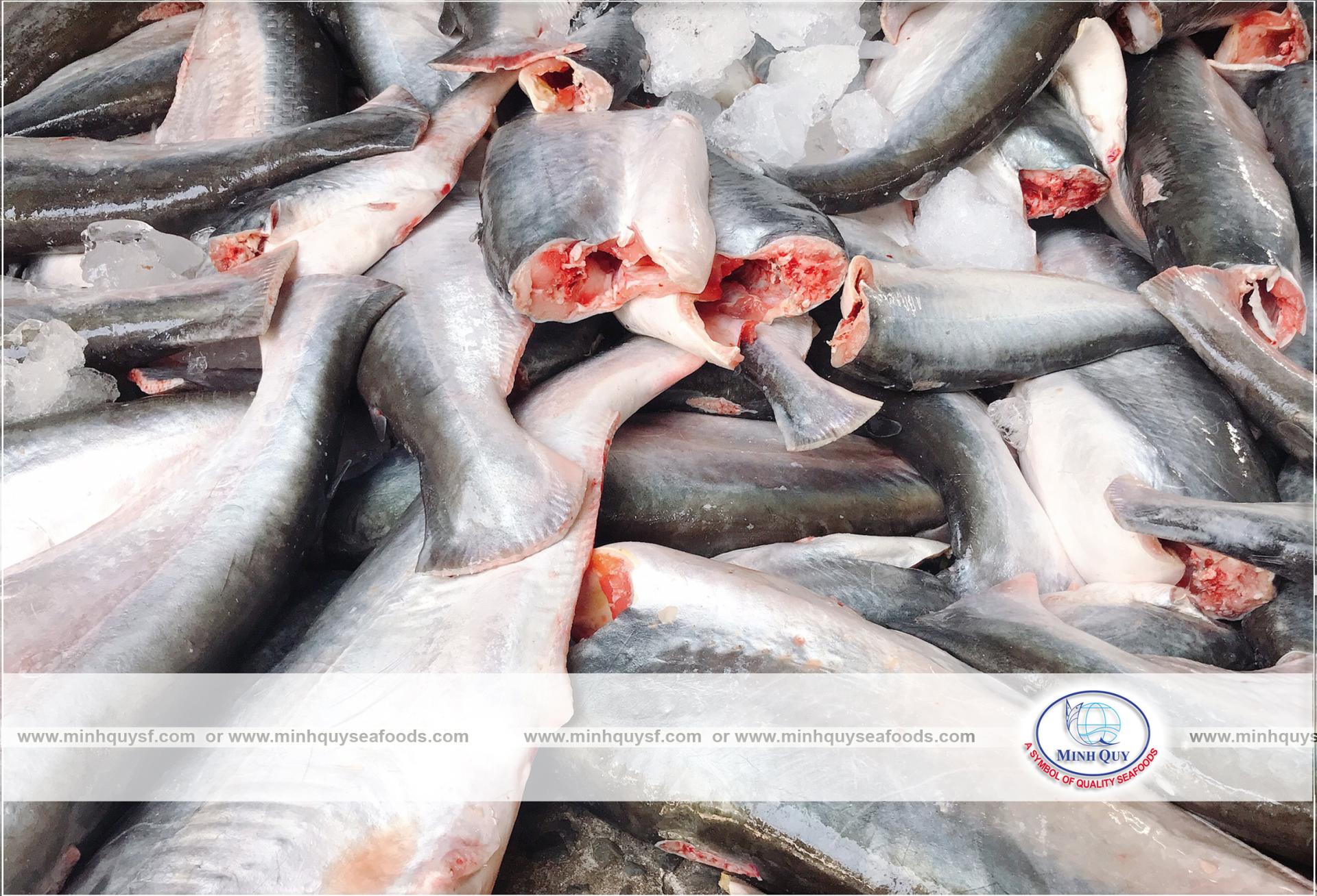 MINH QUY SEAFOODS COMPANY LIMITTED