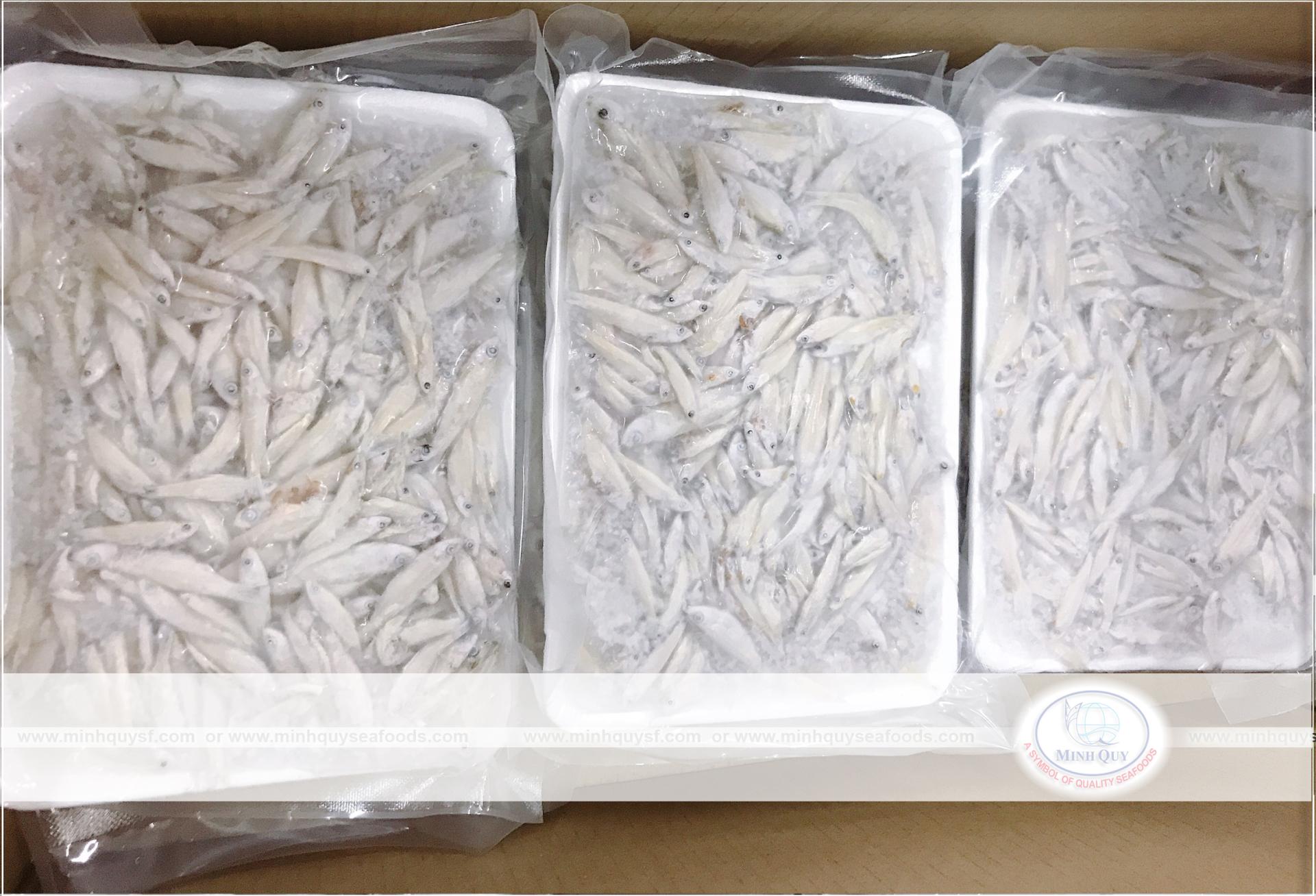 MINH QUY SEAFOODS COMPANY LIMITTED