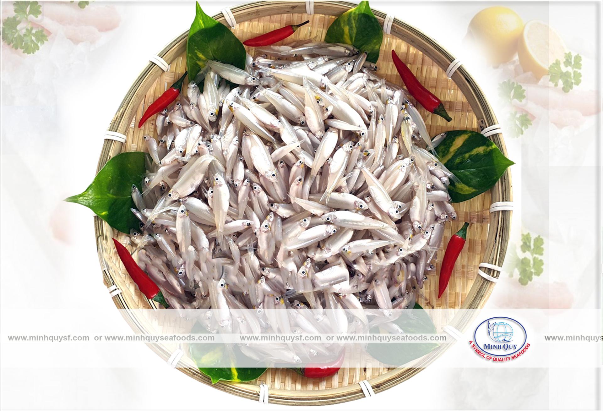 MINH QUY SEAFOODS COMPANY LIMITTED