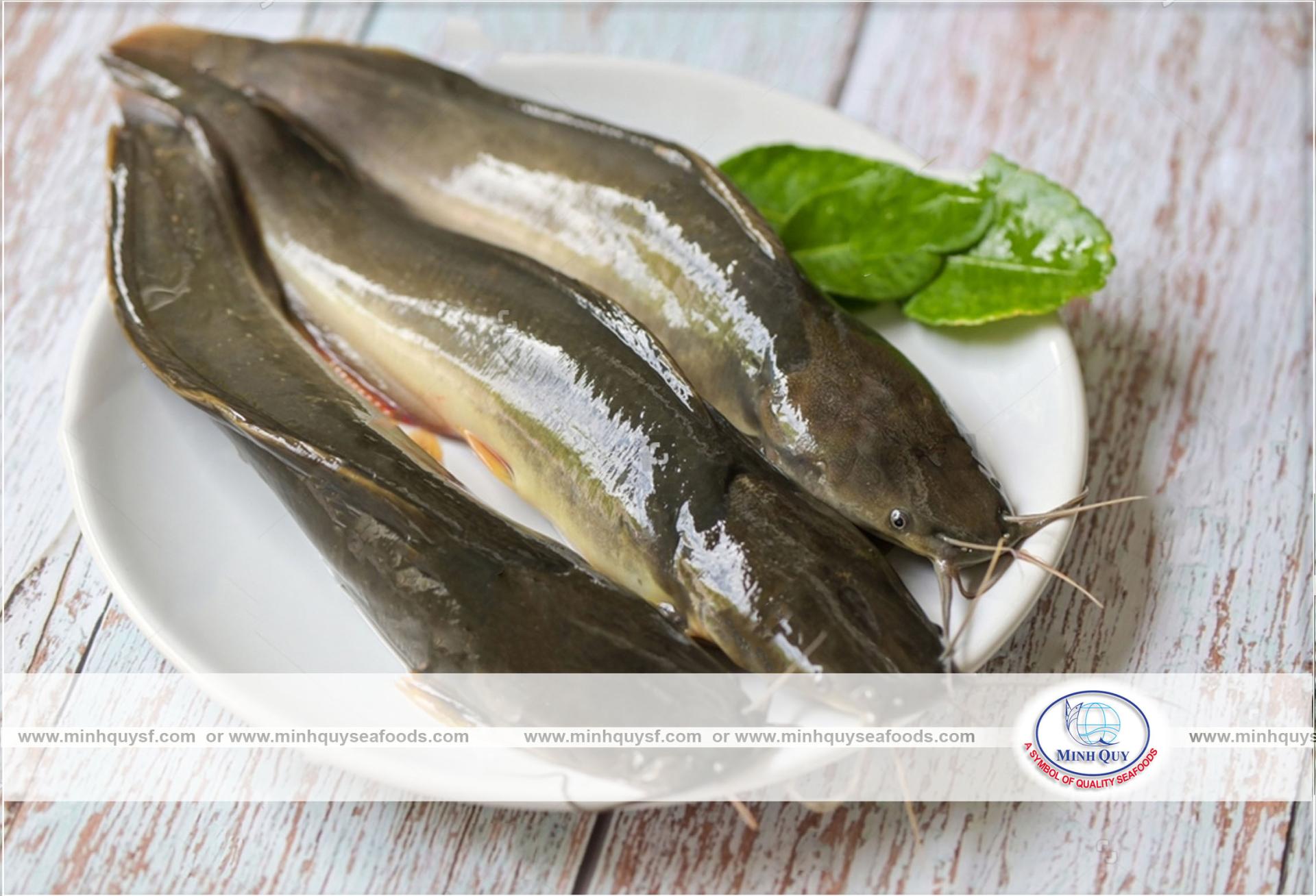 MINH QUY SEAFOODS COMPANY LIMITTED