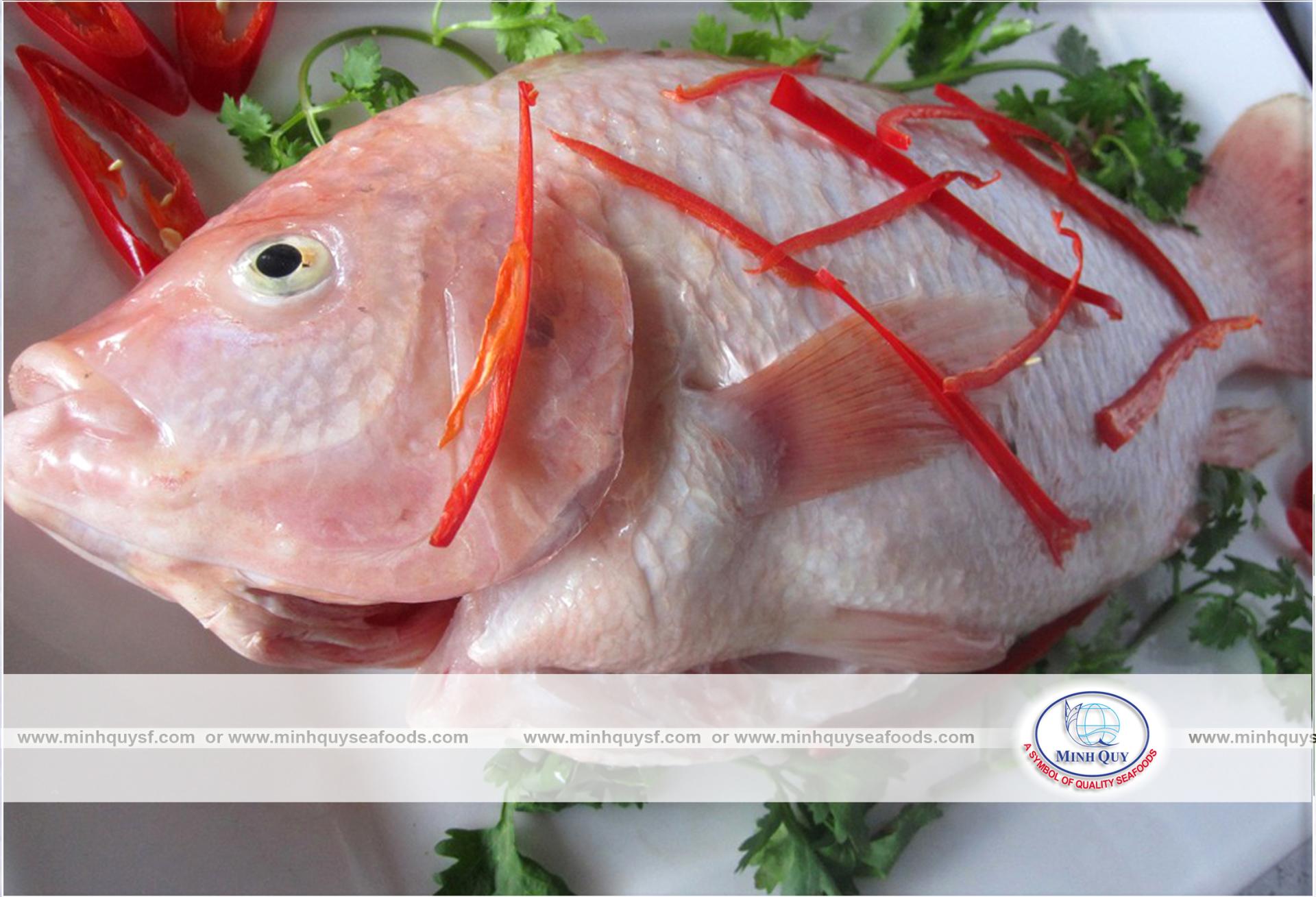 MINH QUY SEAFOODS COMPANY LIMITTED