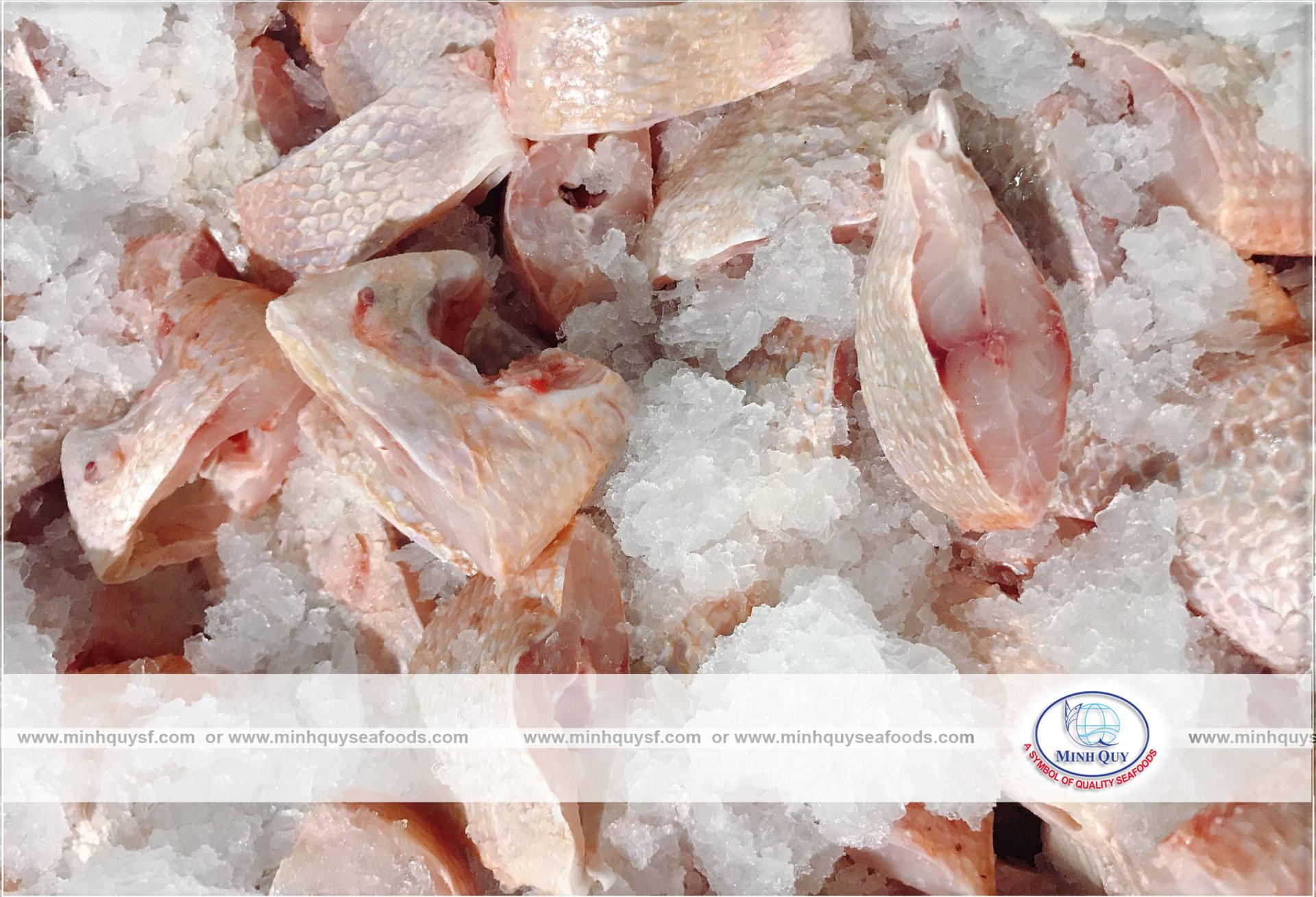 MINH QUY SEAFOODS COMPANY LIMITTED