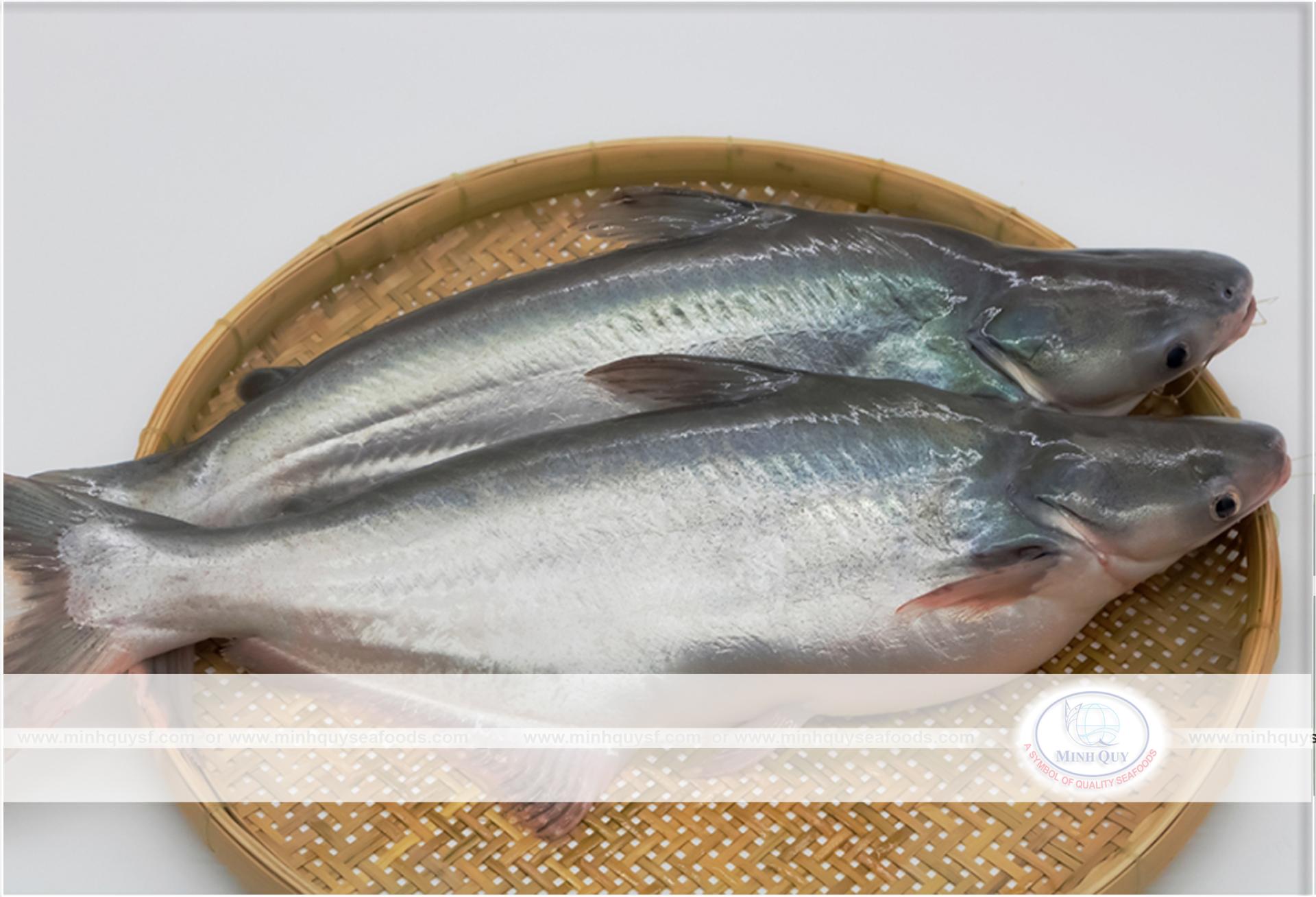 MINH QUY SEAFOODS COMPANY LIMITTED