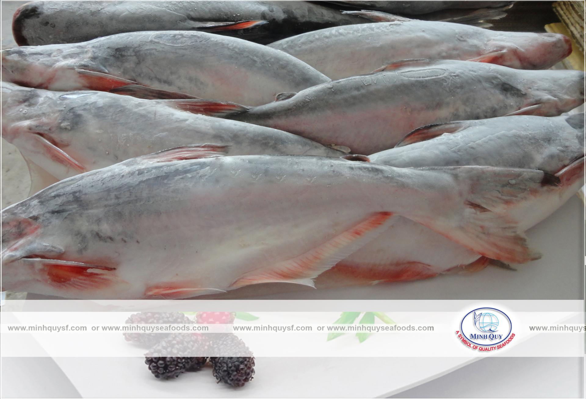 MINH QUY SEAFOODS COMPANY LIMITTED