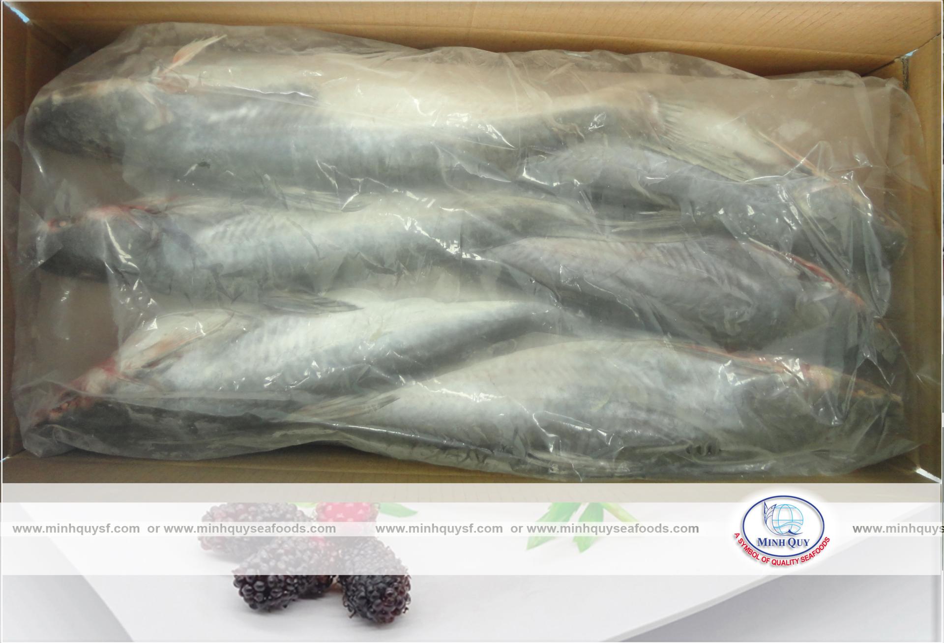 MINH QUY SEAFOODS COMPANY LIMITTED